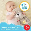 81rBBhCW8fL._AC_SL1500_.webp