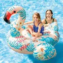 cddf61b4-9398-4d3a-90e6-3566947af2ba_12C8PhcTZW0.webp