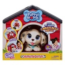 Little Live Pets My Puppy's Home - الطبعة الدلماسية