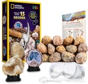 National Geographic Break Open 15 Premium Geodes Science Kit