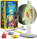 National Geographic Human Body Model