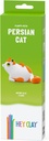 Hey Clay - Fluffy Pets Persian Cat