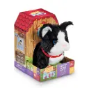 Pitter Patter Pets - Pretty Little Kitty - Black Cat 