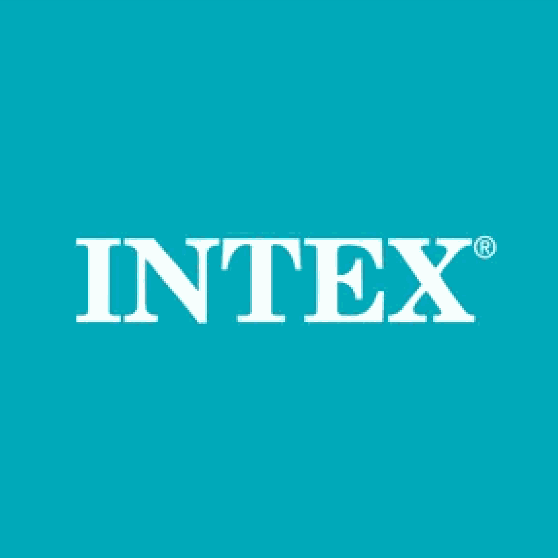 Brand: INTEX